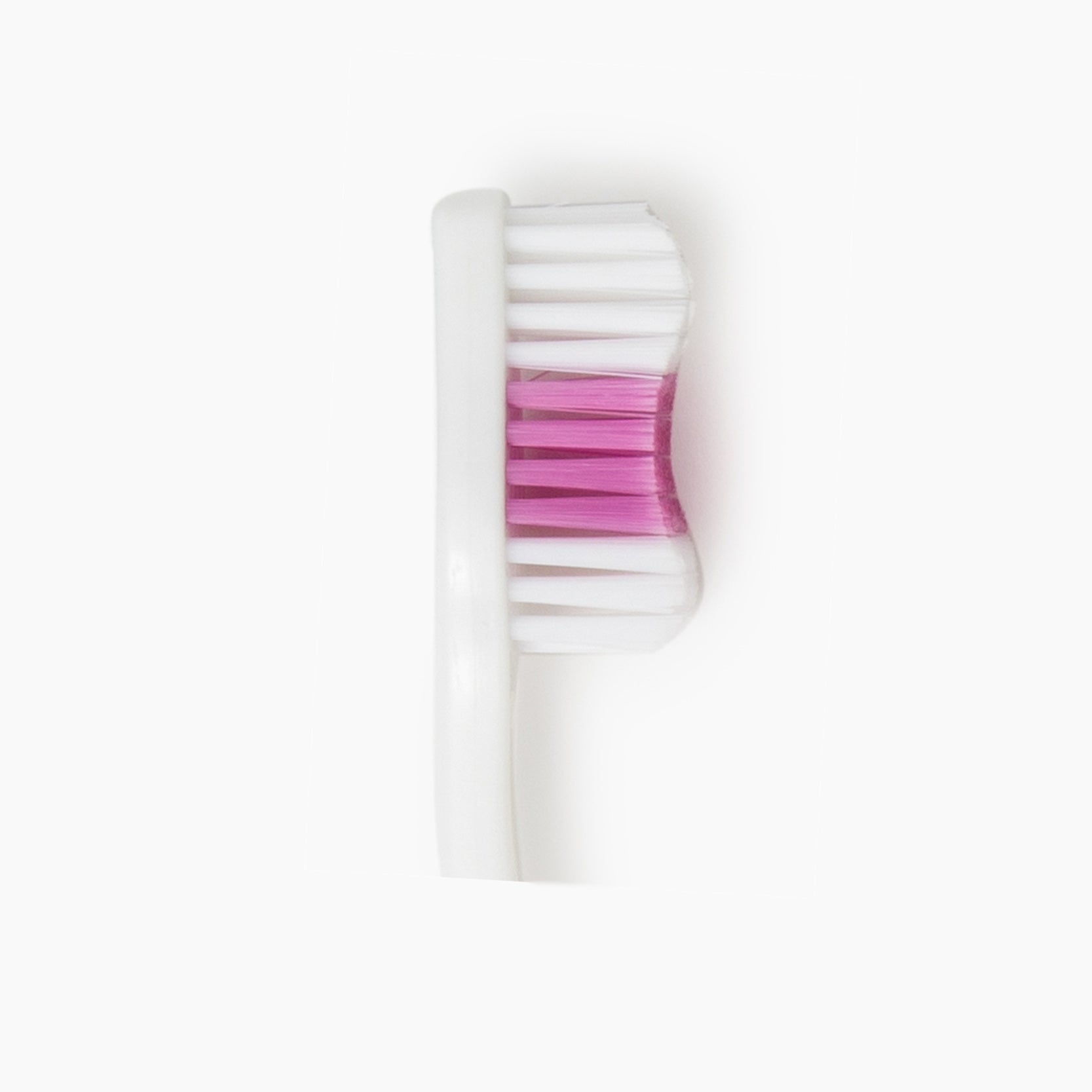 Curvation Toothbrush (144 pc)