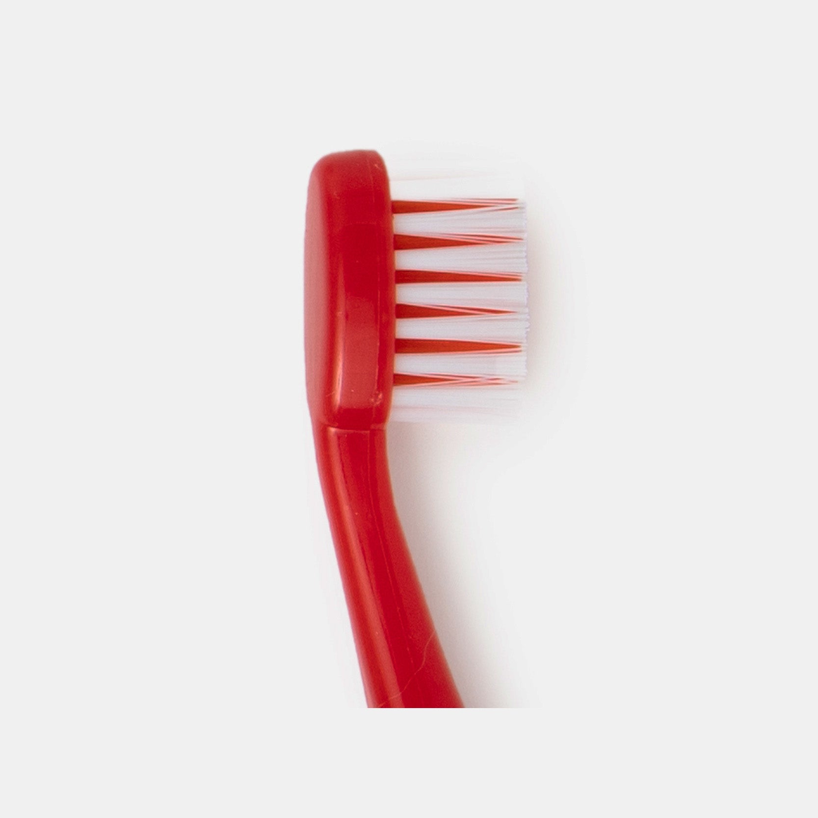 GripTastic Toothbrush - Imprinted (144 pc)