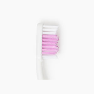 Plaque Zapper Toothbrush (144 pc)